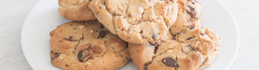 A plate of chocolate chip cookies